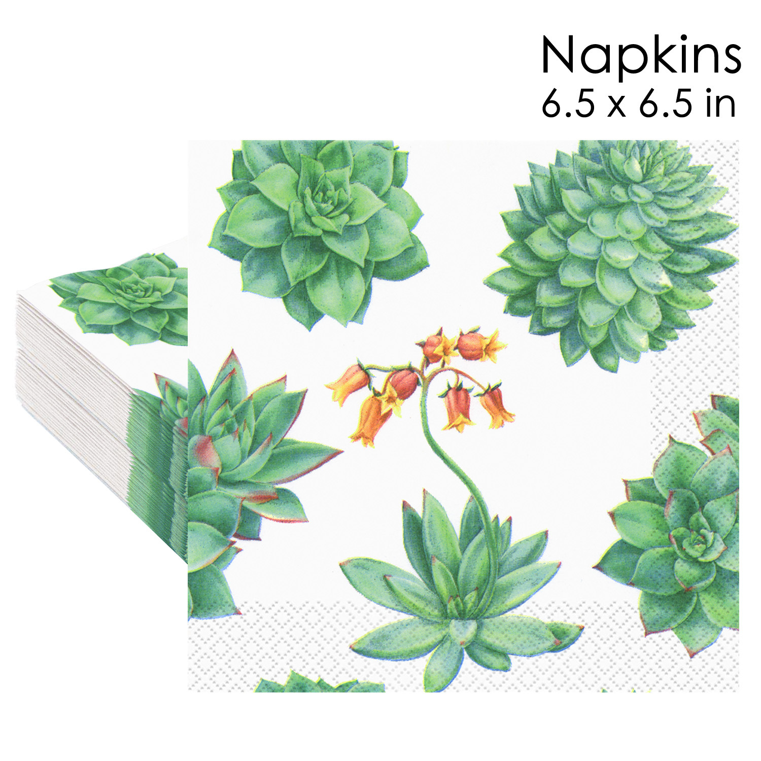 Watercolor Succulents Napkins